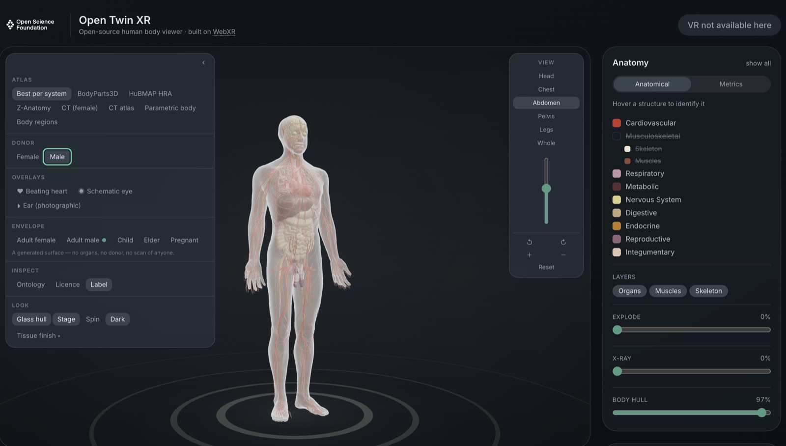 The OpenTwin XR viewer showing a male anatomical model from the combined atlas, abdomen view, with the dataset panel open.